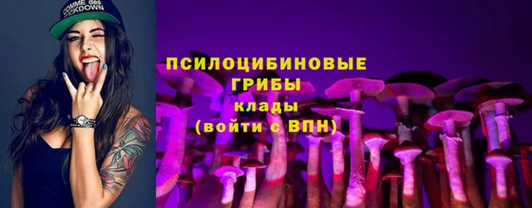 ПСИЛОЦИБИНОВЫЕ ГРИБЫ Алексеевка