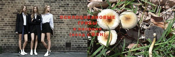 ПСИЛОЦИБИНОВЫЕ ГРИБЫ Алексеевка