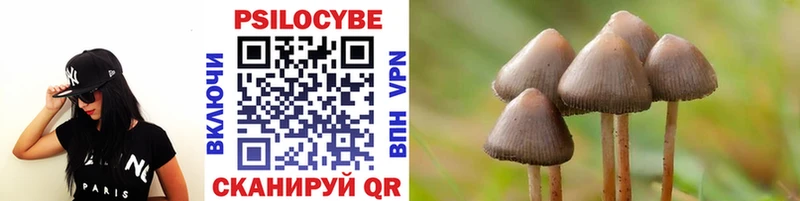 Псилоцибиновые грибы MAGIC MUSHROOMS  МЕГА как войти  Жирновск  как найти наркотики 